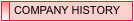 COMPANY HISTORY
